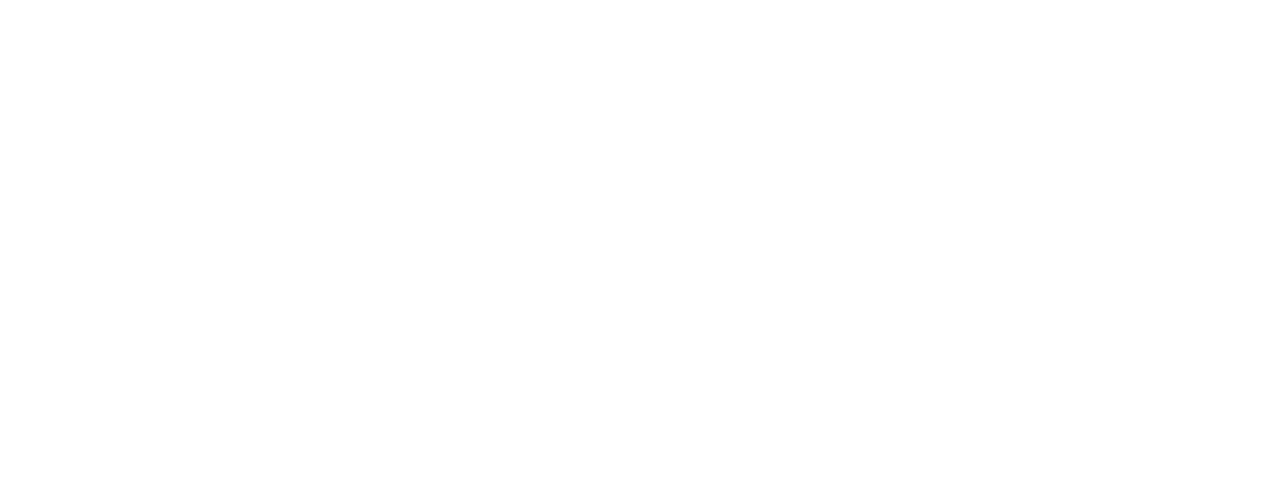 The Digital Stars